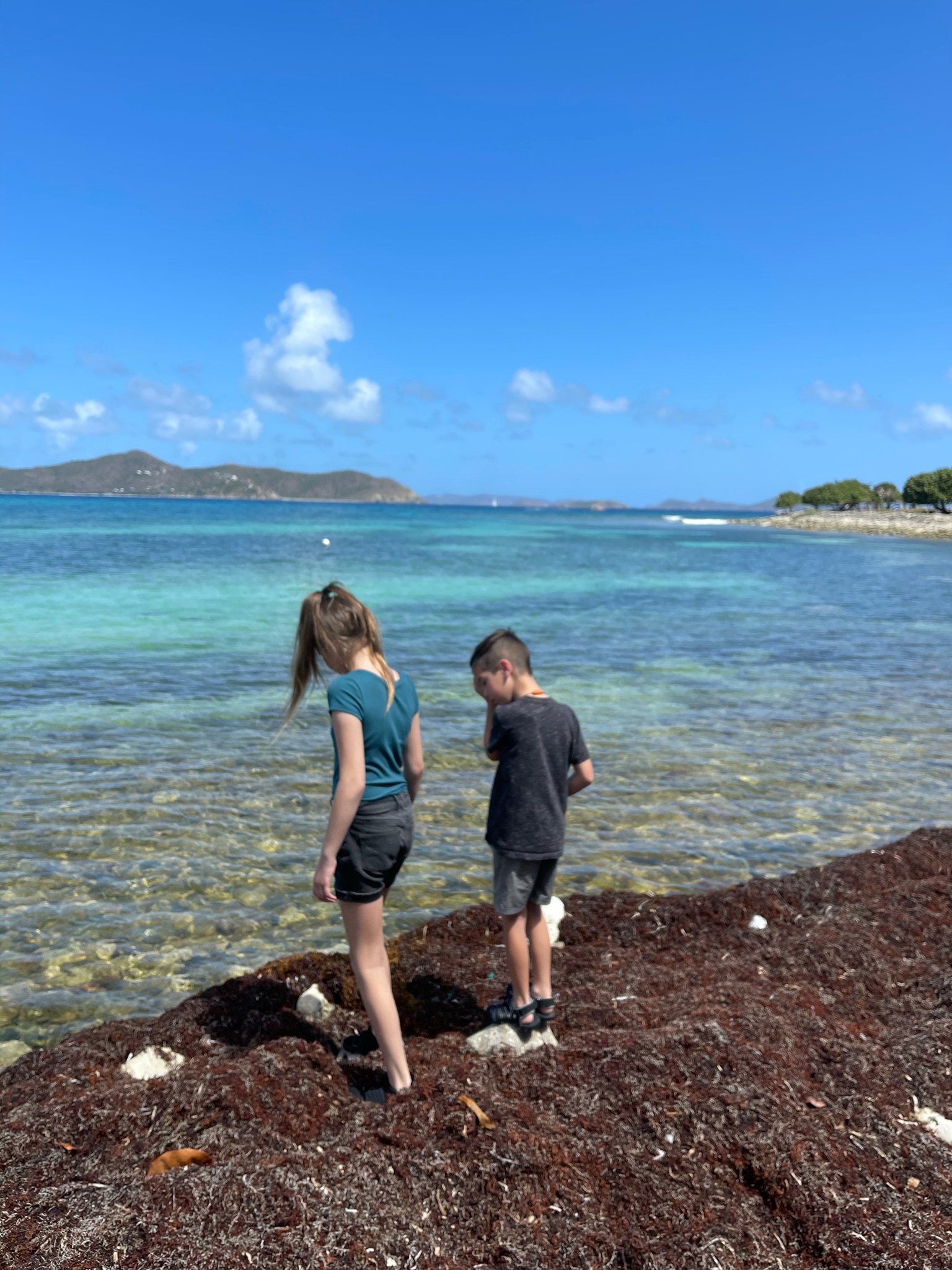 2 kids over looking the colorful ocean standing on old seaweed